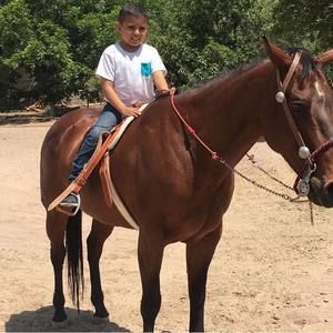 Meet your Posher, Sandra